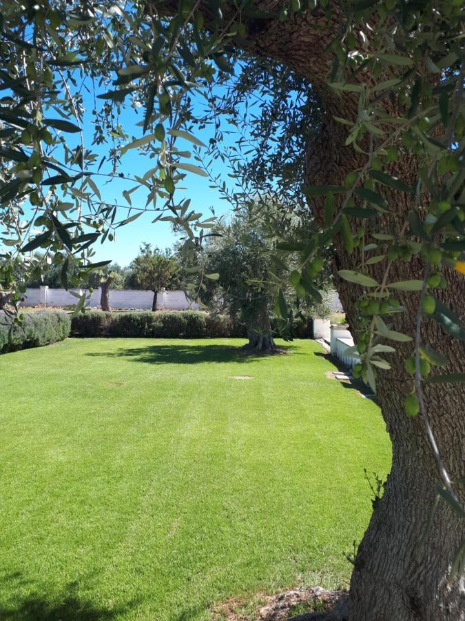 Masseria Bianca Di Puglia مونوبولي المظهر الخارجي الصورة